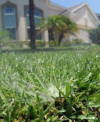 a sprinkler system maintained by our Cambridge sprinkler repair team