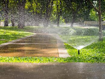 a perfectly working sprinkler system maintained by our team in Kitchener, ON