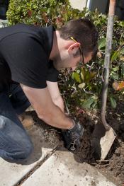 Jack, one of our Kitchener sprinkler repair pros, is replacing a pop-up head