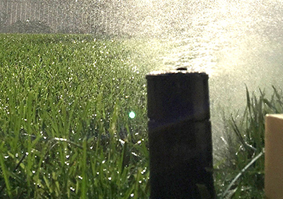 a sprinkler system installed in Kitchener-Waterloo, Ontario